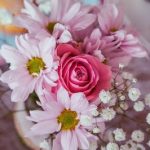 sarasota florida florist